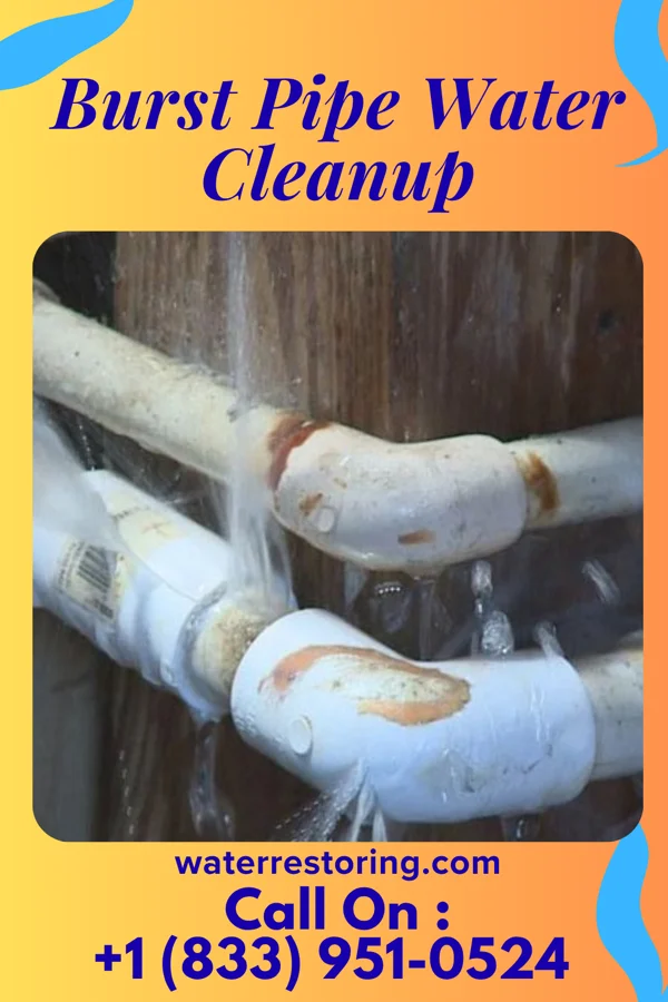 Burst Pipe Water Cleanup in Bondurant, IA