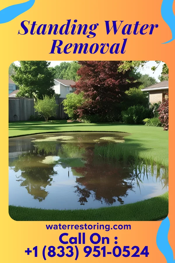 Standing Water Removal in Bondurant, IA